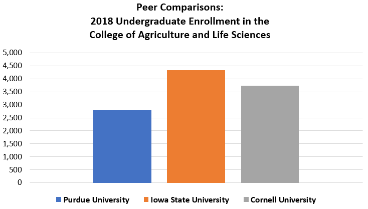 “Peer Compmarisons: 2018 Undergraduate Enrollment in the College of Agriculture and Life Sciences.  The bar chart shows Purdue University with 2700 enrollments next to Iowa State University with 4200 enrollments and Cornell University with 3,700 enrollments.”